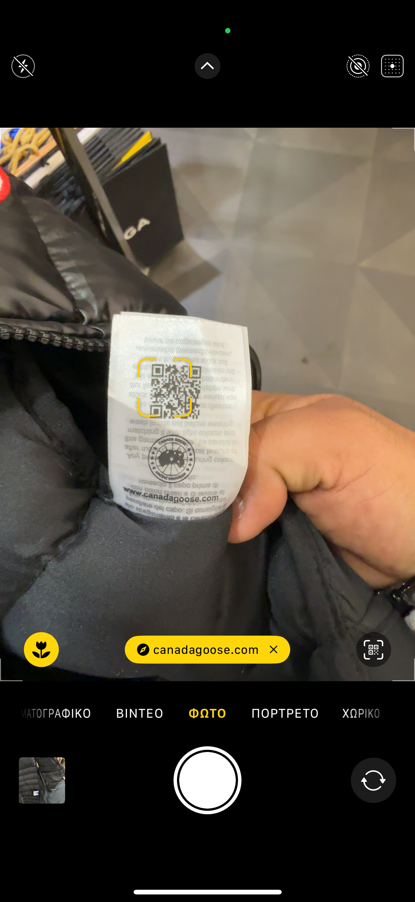 ΑΜΑΝΙΚΟ