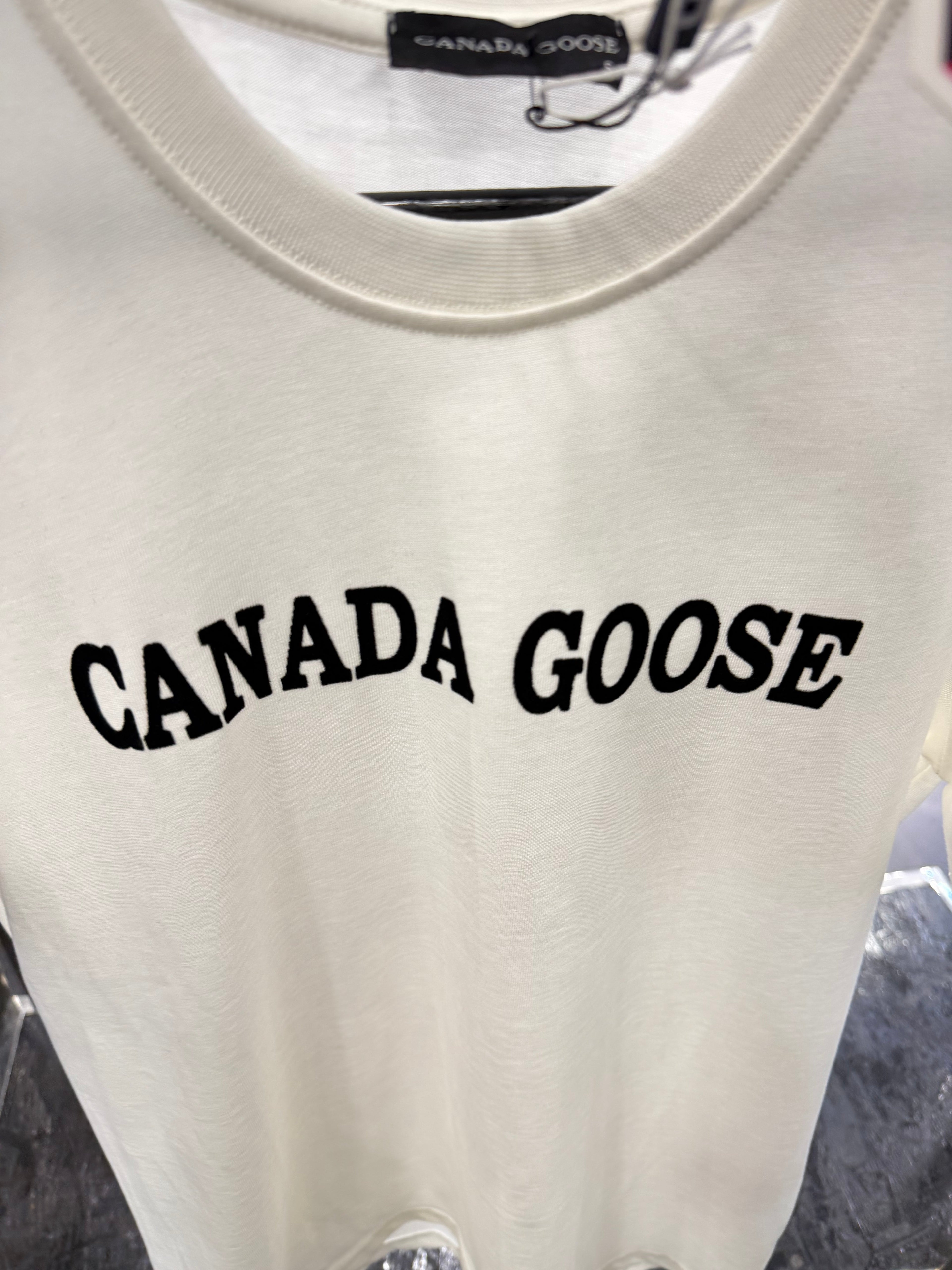 T-SHIRT NEW IN